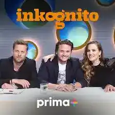 Přehrát Inkognito 5 – 10. díl – Saša Navrátil