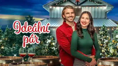 Přehrát Ideální pár