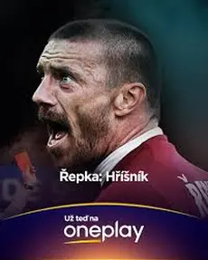 Přehrát Řepka: Hříšník